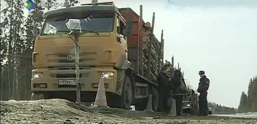 весовой контроль для лесовозов